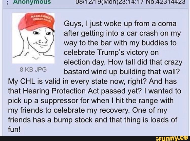 Guys, I just woke up from a coma
after getting into a car crash on my
way to the bar with my buddies to
celebrate Trump's victory on
election day. How tall did that crazy
SKBIPG bastard wind up building that wall?
My CHL is valid in every state now, right? And has
that Hearing Protection Act passed yet? I wanted to
pick up a suppressor for when I hit the range with
my friends to celebrate my recovery. One of my
friends has a bump stock and that thing is loads of
fun!