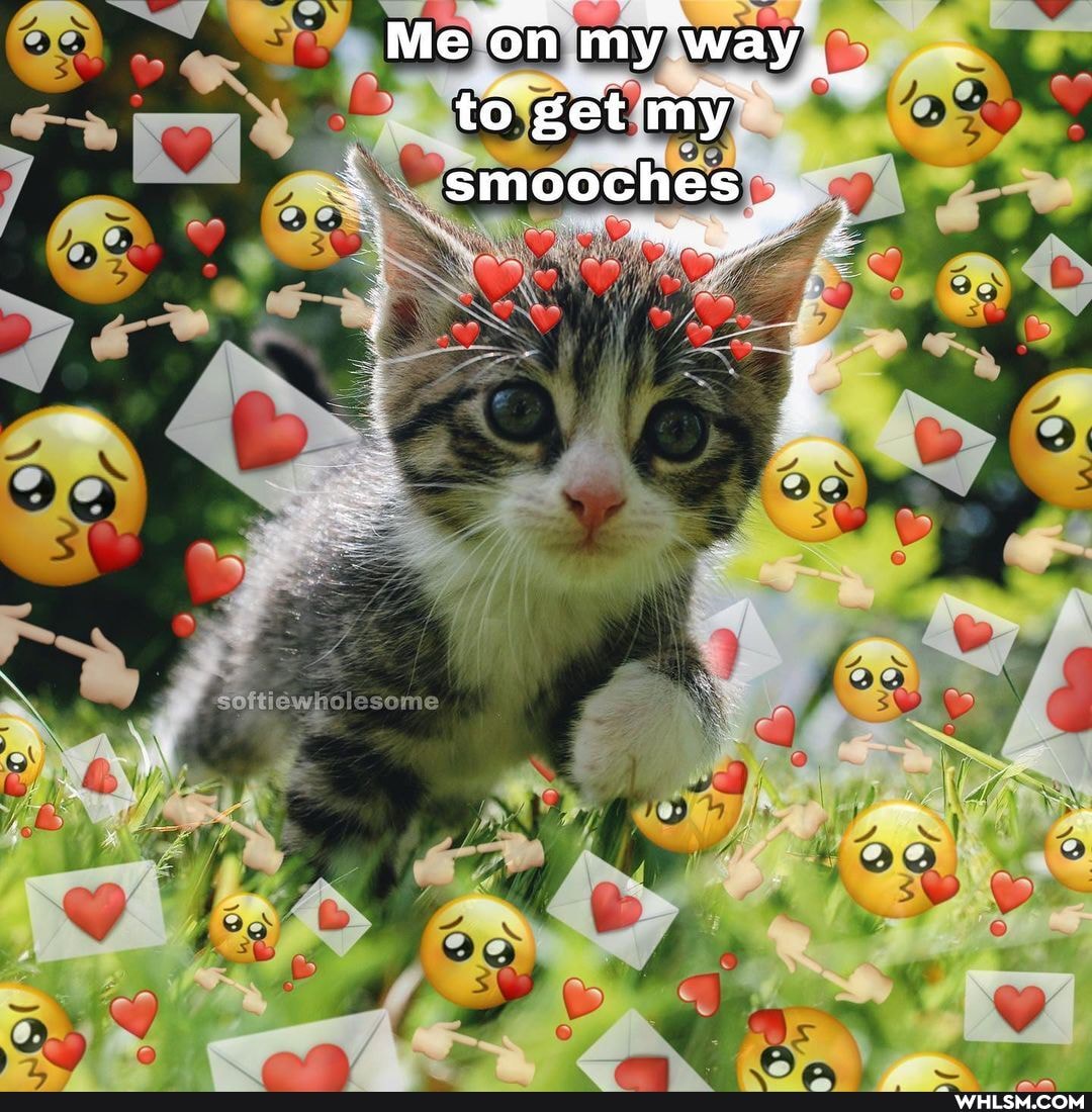 Me 'on my way to get ny gsmooches