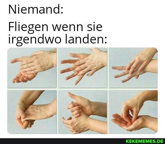 Niemand:
Fliegen wenn sie irgendwo landen: