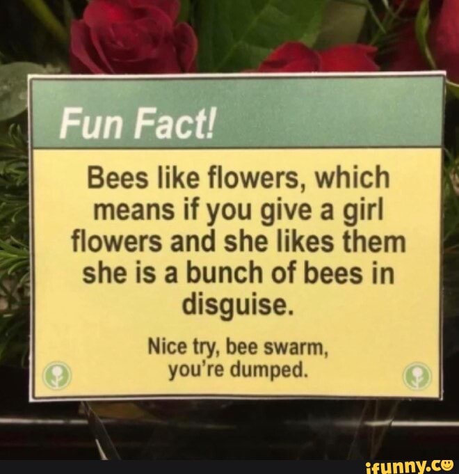 un-act-bees-like-flowers-which-means-if-you-give-a-girl-flowers-and