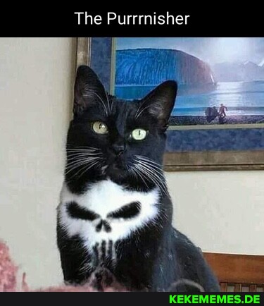 The Purrrnisher