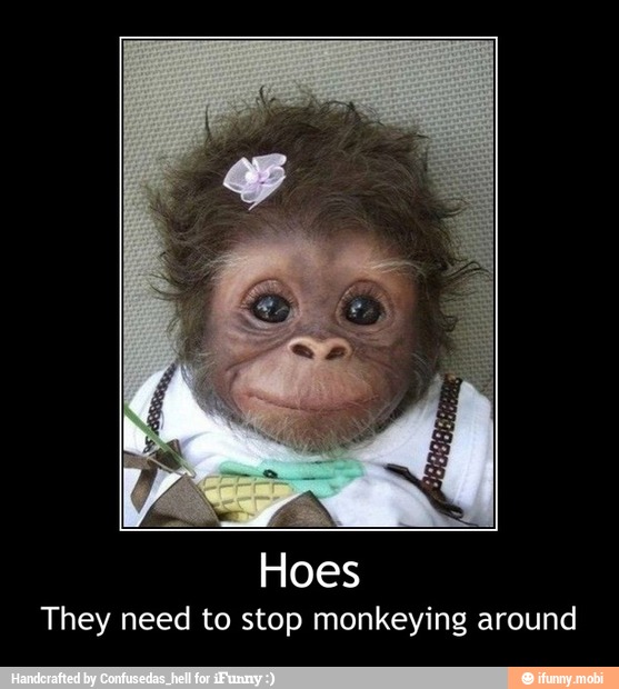 They need to stop monkeying around - Hoes
They need to stop monkeying around
