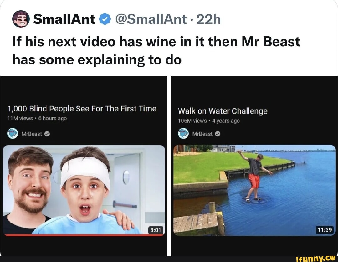 SmallAnt on X: If his next video has wine in it then Mr Beast has some  explaining to do  / X
