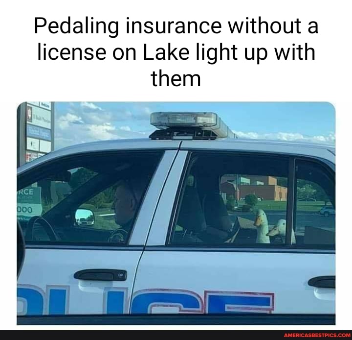 Pedaling insurance without a license on Lake light up with them