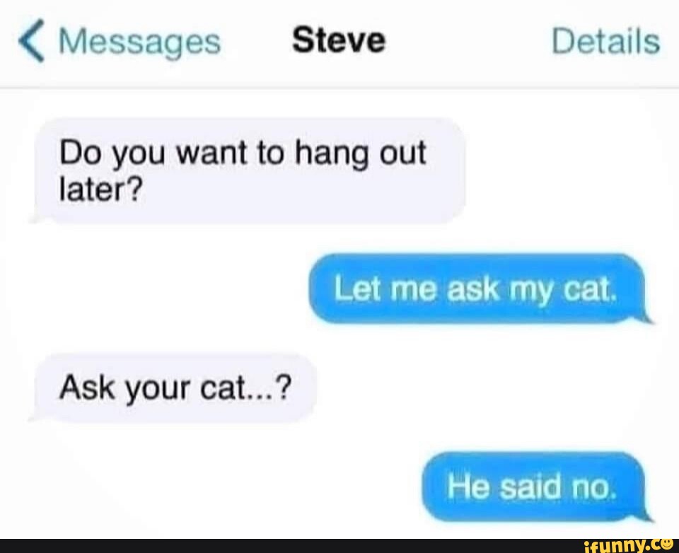 messages-steve-details-do-you-want-to-hang-out-later-let-me-ask-my-cat