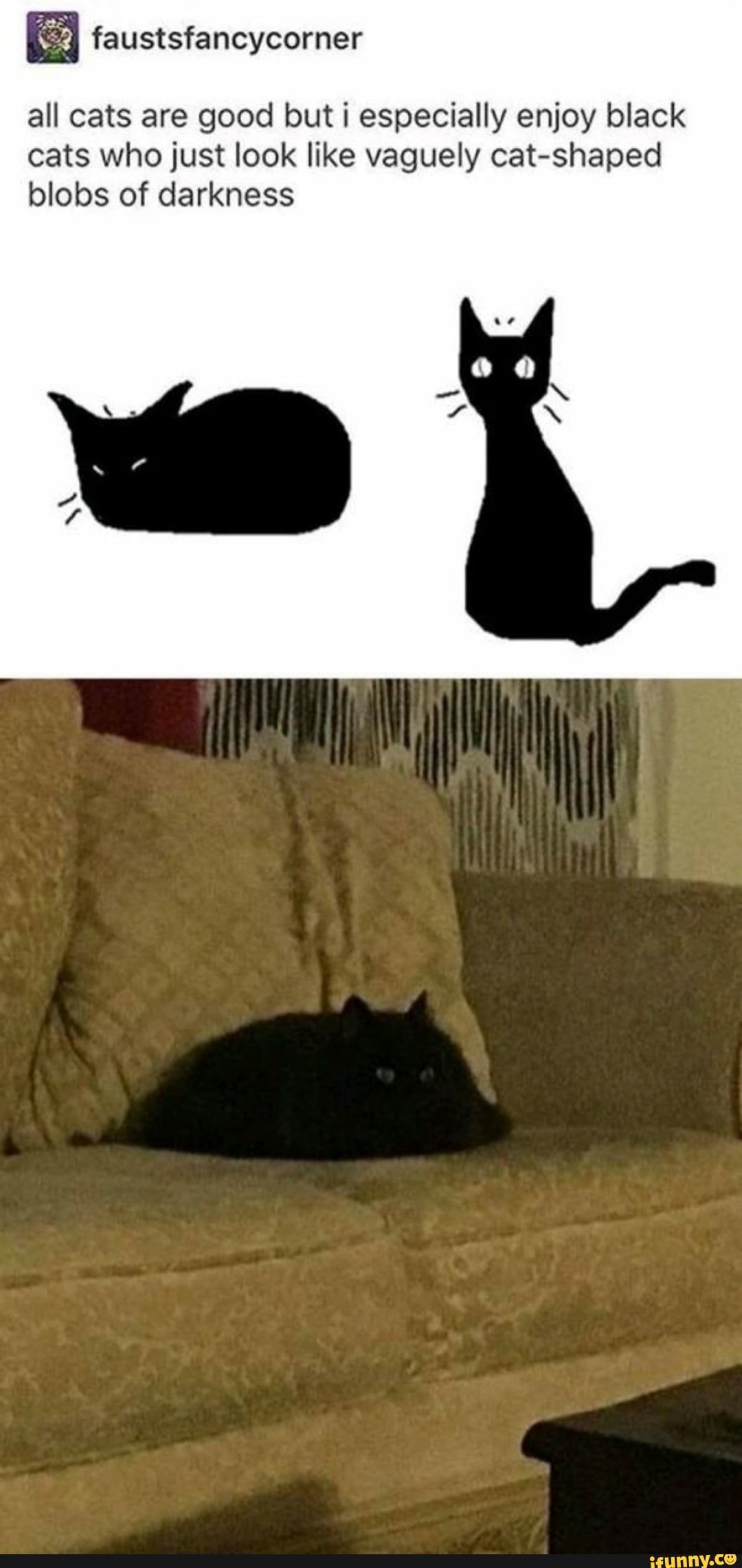all cats are good but i especially enjoy black cats who just look like vaguely cat-shaped blobs of darkness