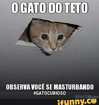OBSERVA VOCÊ SE MASTURBANDO
#GATOCURIOSO