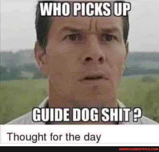 WHO PICKS
GUIDE DOG SHIT?
far the claw