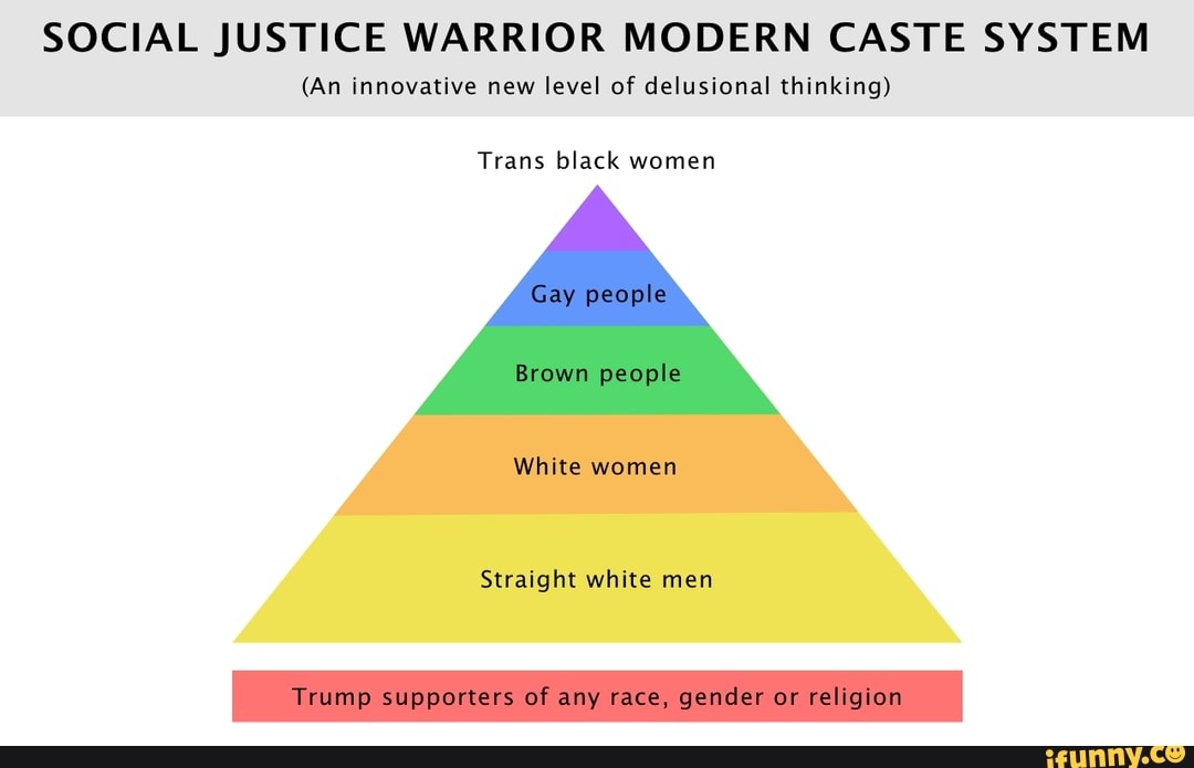 SOCIAL JUSTICE WARRIOR MODERN CASTE SYSTEM (An innovative new level of ...