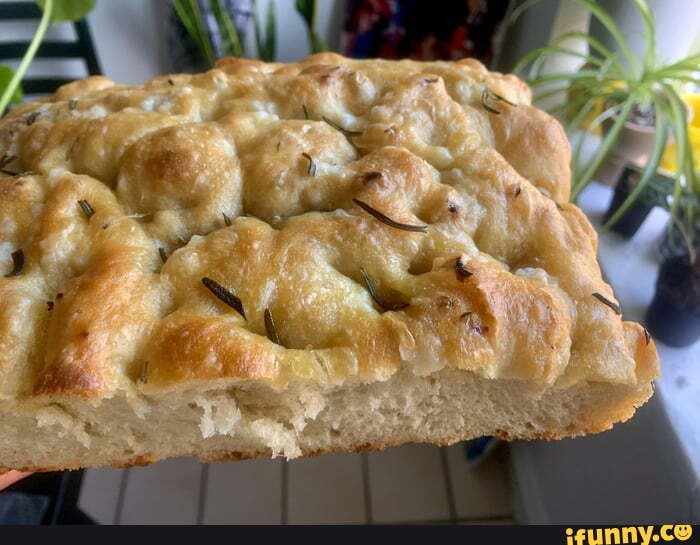 Focaccia memes. Best Collection of funny Focaccia pictures on iFunny