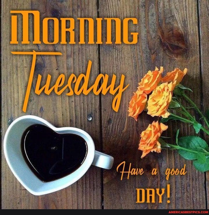 Good Morning Happy Tuesday ☕ Goodmorningpost Good Morningpost Morning Goodmorning Coffee 
