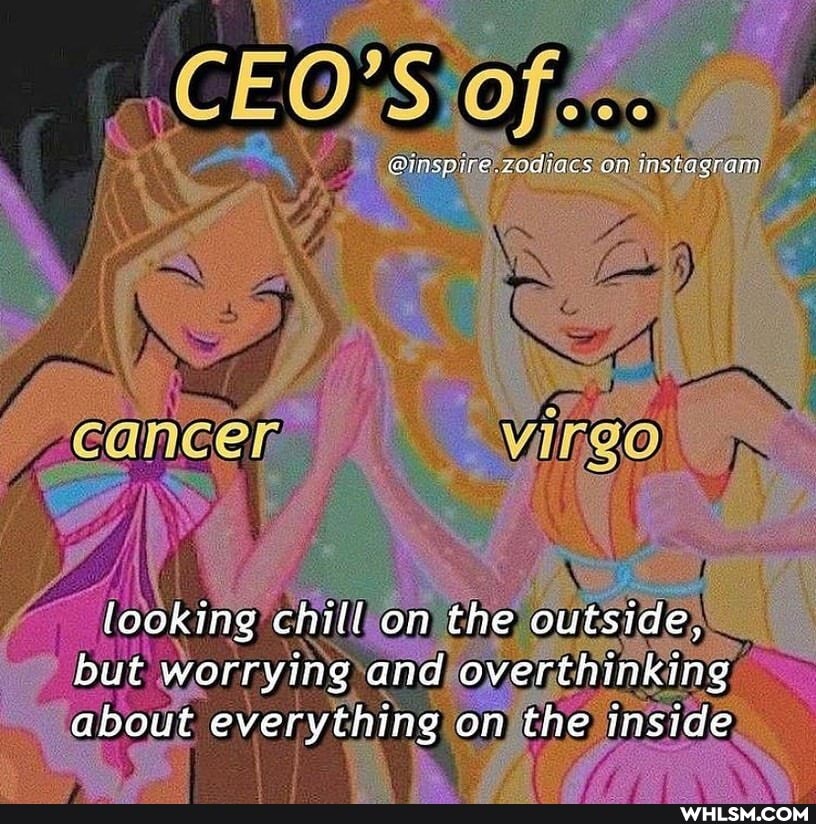 CEO'S
On
fooking chill on the outside, but worrying and overthinking about everything on the inside