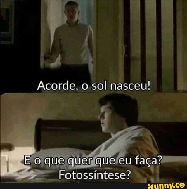 Acorde, o sol nasceu!
que quer que eu faça?
Fotossintese?