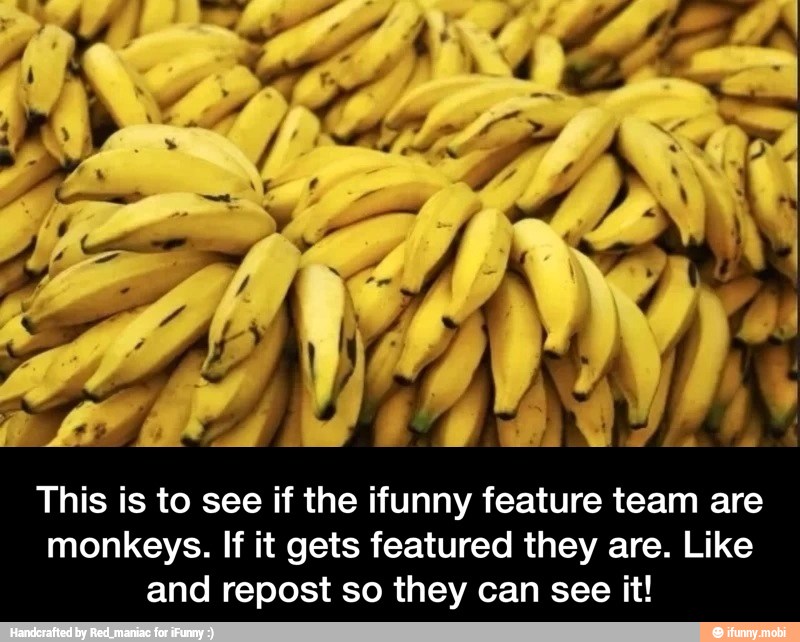 This is to see if the ifunny feature team are
monkeys. If it gets featured they are. Like
and repost so they can see it! - This is to see if the ifunny feature team are monkeys. If it gets featured they are. Like and repost so they can see it!