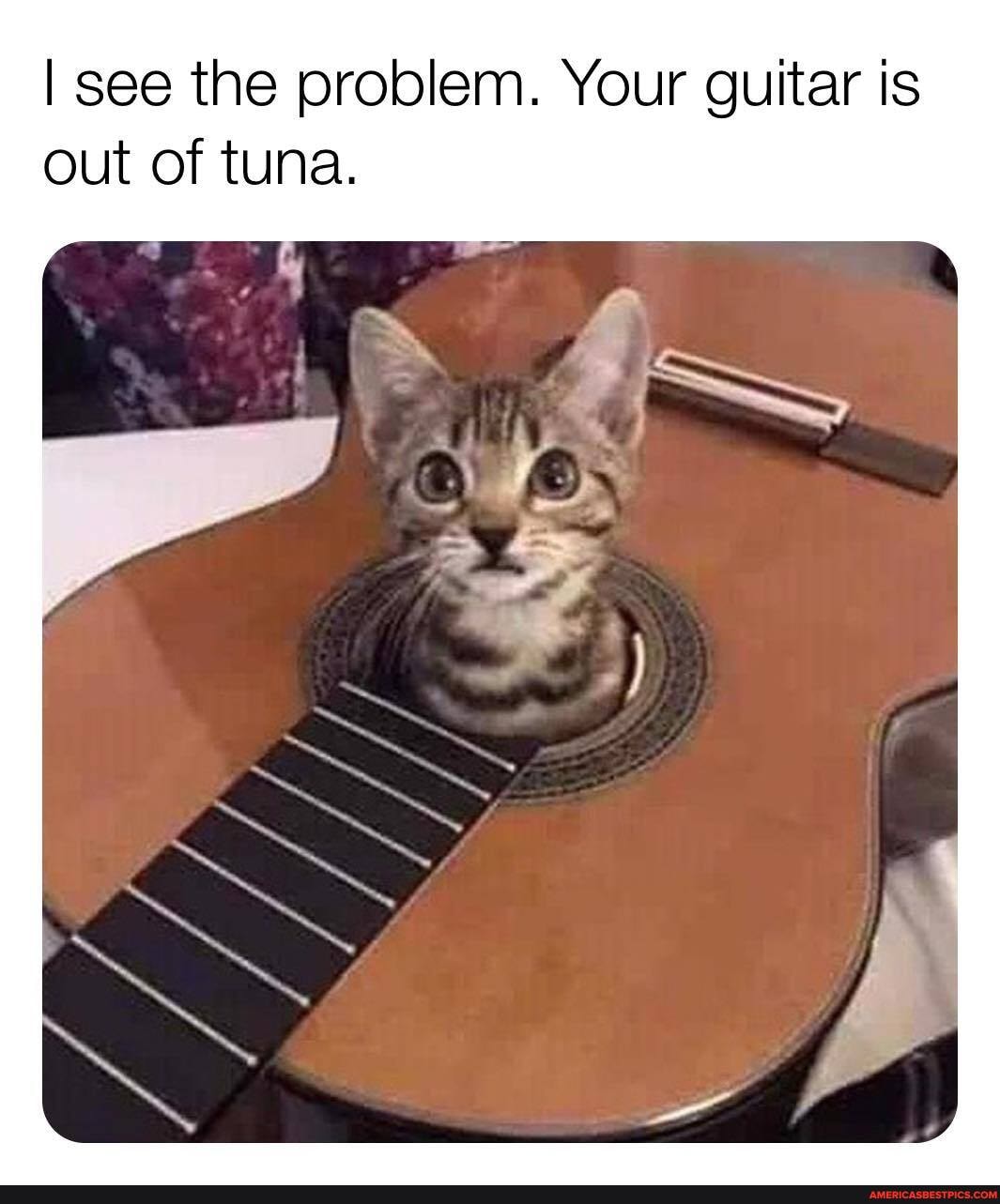 I see the problem. Your guitar is out of tuna.