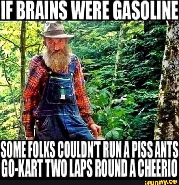 IF BRAINS WERE GASOLINE SONE FOLKS GOULDRT RUN PISS ANTS GO-KART TWO ...