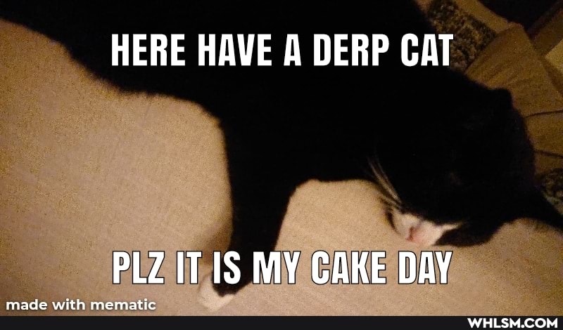 HERE HAVE A DERP CAT
PLZ IT IS MY CAKE DAY