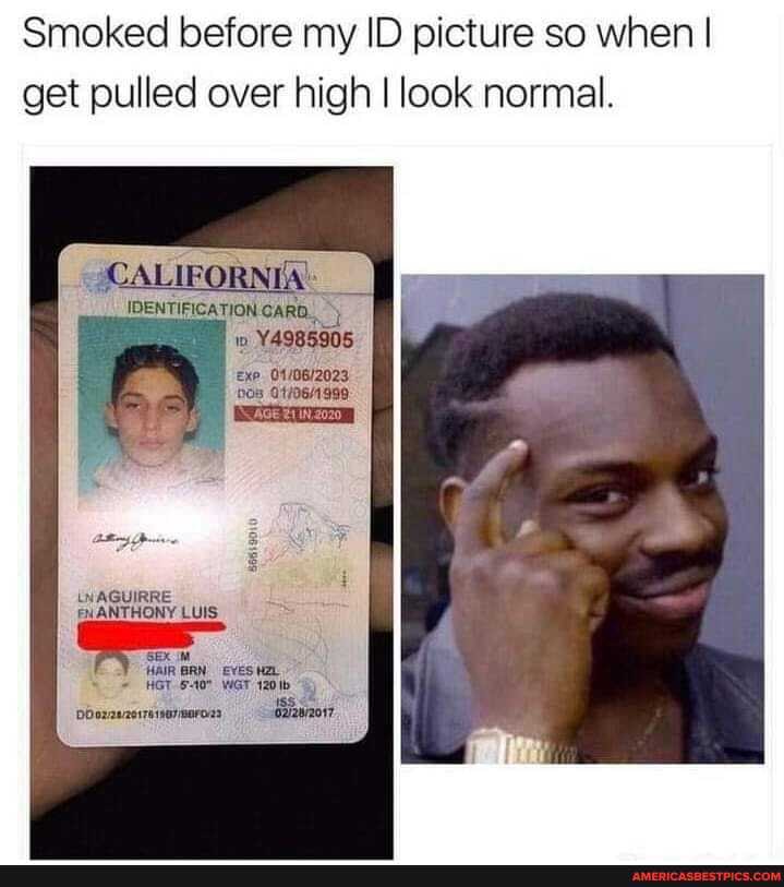 Smoked before my ID picture so when I get pulled over high I look normal.
ON Y4985905
LWAGUIRRE BUANTHONY LUIS
EY iin BRN
Eves pbezavzerreiverauros -Galanoy7