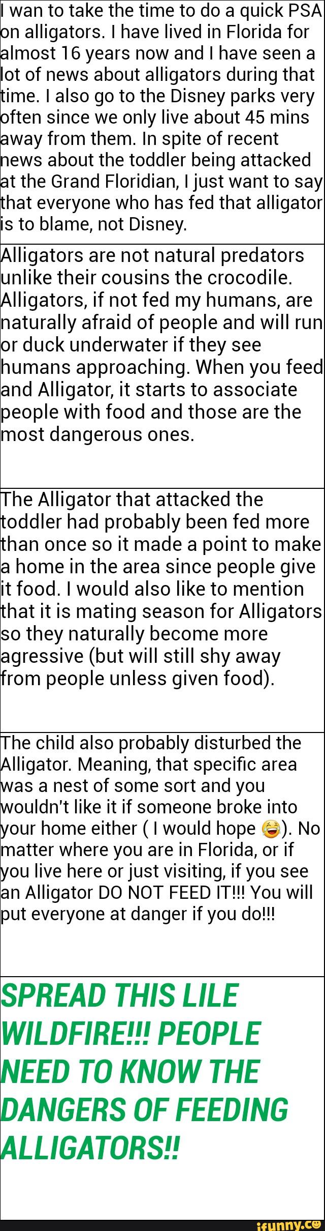 lwan to take the time to do a quick PSA
on alligators. I have lived in Florida for
almost16 years now and I have seen a
lot of news about alligators during that
time. I also go to the Disney parks very
often since we only live about 45 mins
way from them. In spite of recent Eews about the toddler being attacked
tthe Grand Floridian, I just want to say
that everyone who has fed that alligator
is to blame, not Disney.
Alligators are not natural predators
unlike their cousins the crocodile.
Alligators, if not fed my humans, are
naturally afraid of people and will run
or duck underwater if they see
humans approaching. When you feed
and Alligator, it starts to associate
people with food and those are the
most dangerous ones.
The Alligator that attacked the
toddler had probably been fed more
than once so it made a point to make
a home in the area since people give
it food. I would also like to mention
that it is mating season for Alligators
so they naturally become more
agressive (but will still shy