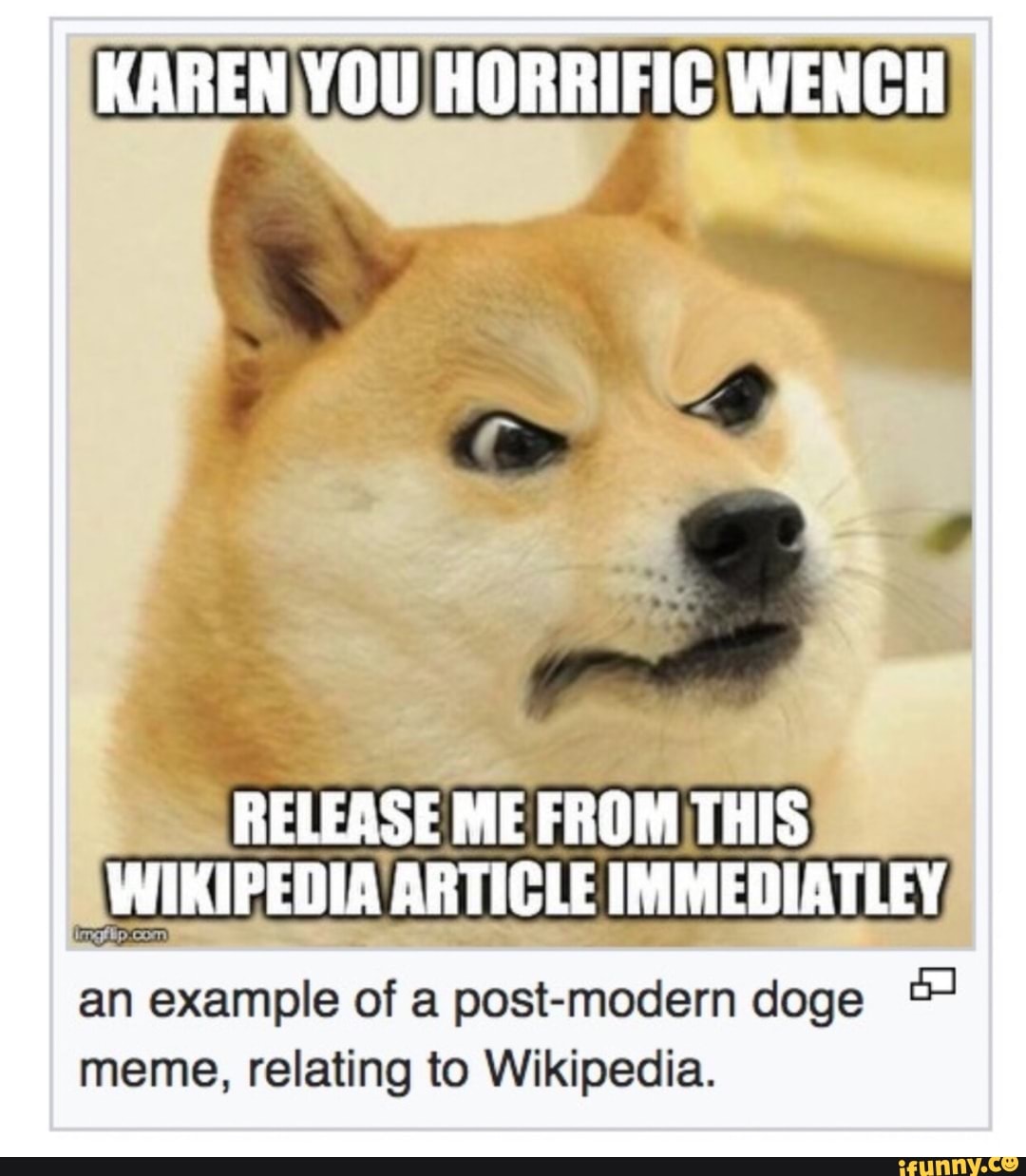 An Example Of A Post Modern Doge ª Meme Relating To Wikipedia Ifunny