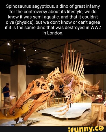Spinosaurus aegypticus, a dino of great infamy for the controversy ...