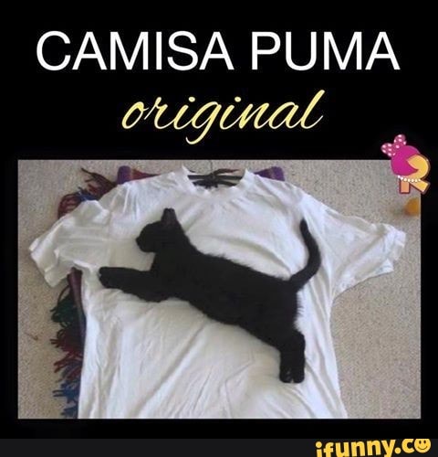 CAMISA PUMA