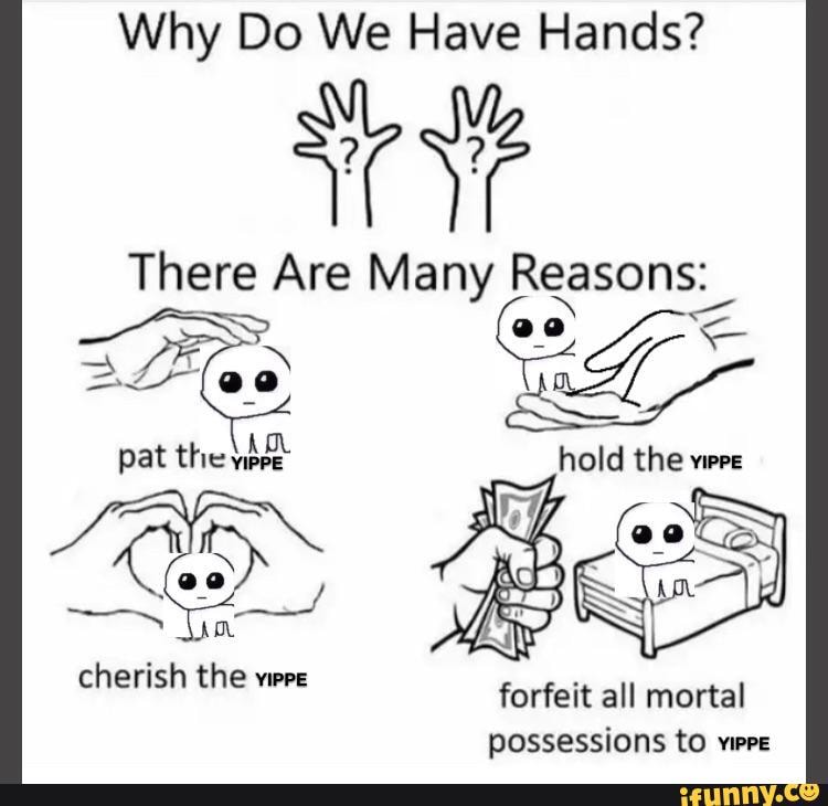 Why Do We Have Hands? There Are Many Reasons: pat the hold the wee ...