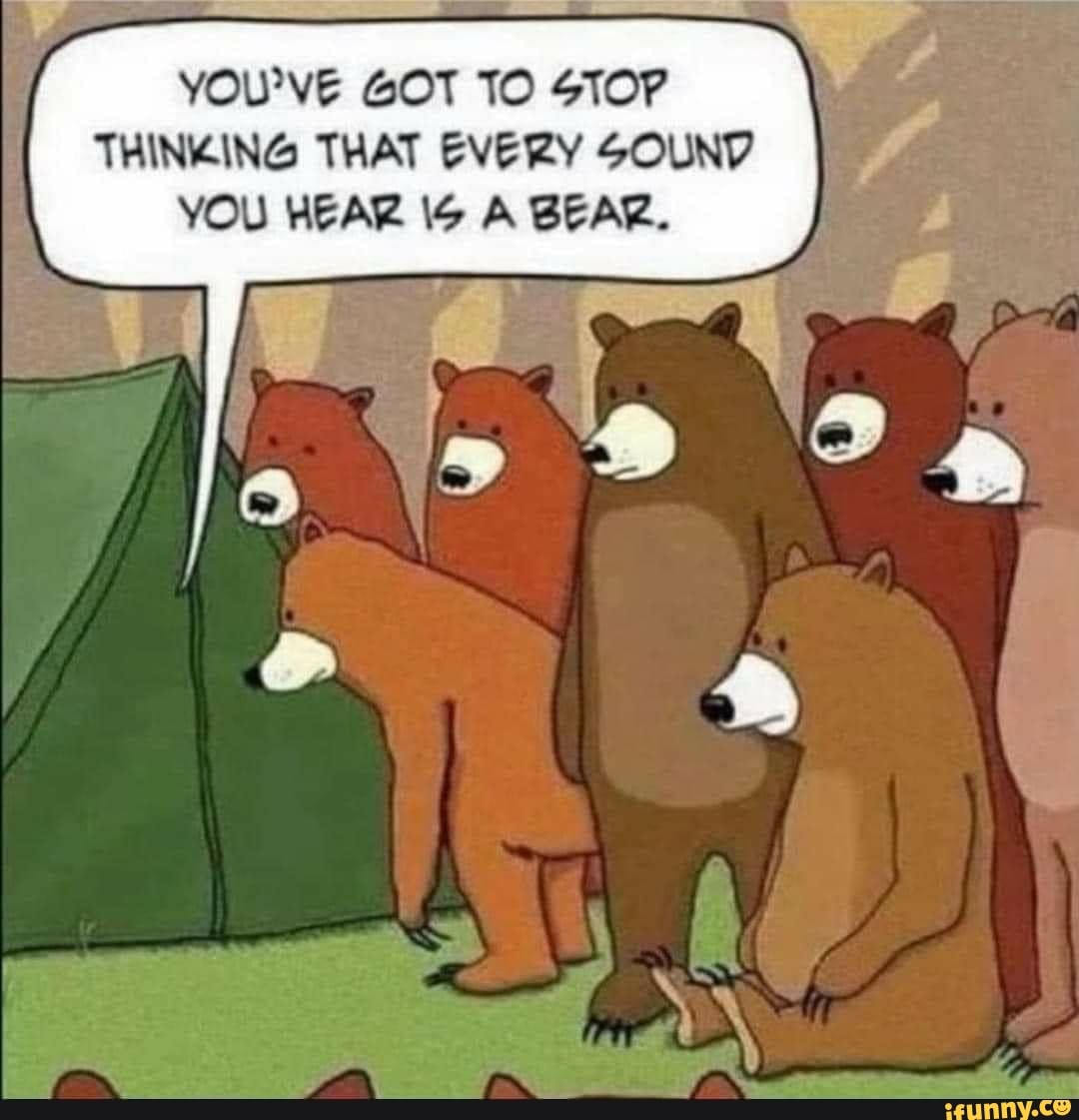 YOU'VE GOT TO STOP THINKING THAT EVERY SOUND YOU HEAR A BEAR. - iFunny