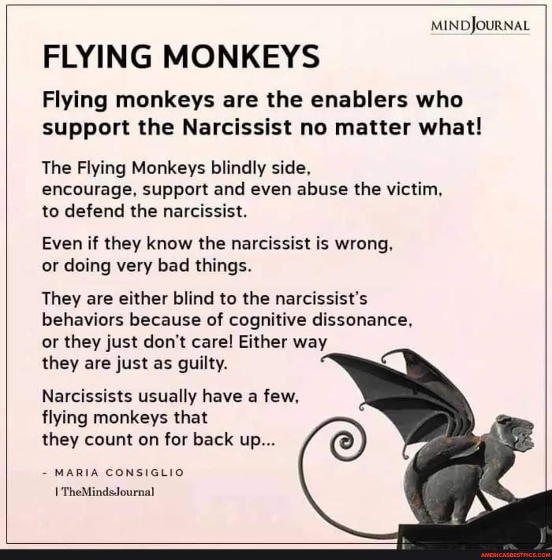 JOURNAL FLYING MONKEYS Flying monkeys are the enablers who support the ...