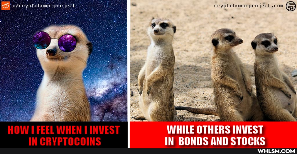 cryptohumorproject-com
WHILE OTHERS INVEST
MOW FEEL
AM
IN PONne ANN
