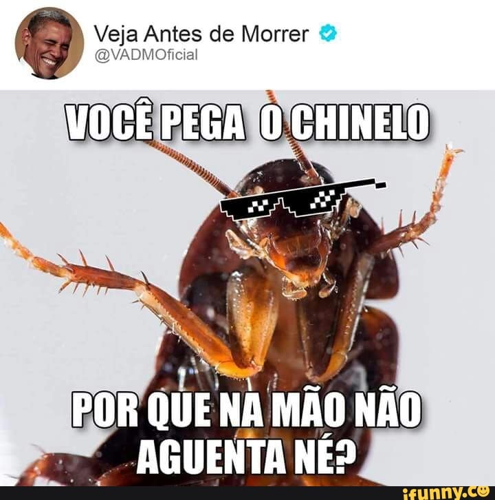 9 Veja Antes de Morrer 2
@VADMOficial
UE! Ni ão NãO