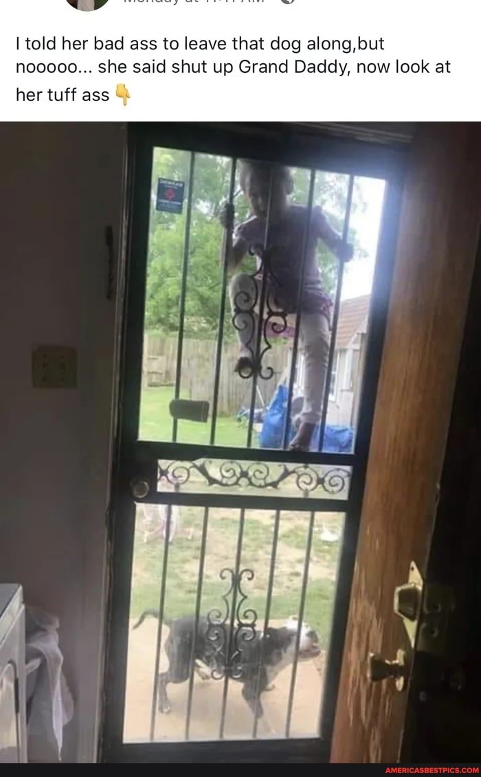 I told her bad ass to leave that dog along, but
nooooo... she said shut up Grand Daddy, now look at her tuff ass