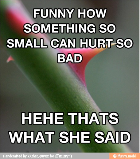 runny. HOW
SOMETHING SO
SMALIACAN HURT+SO
BAD
HEHE
WHAT SHE SAID