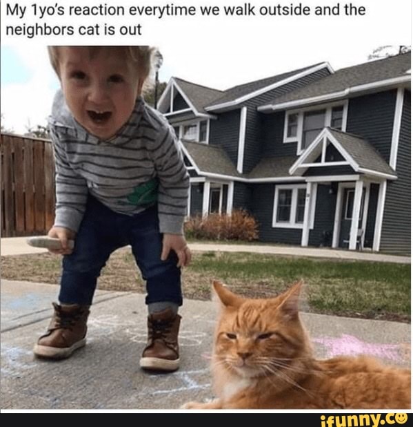 My 1yo's reaction everytime we walk outside and the neighbors cat is out