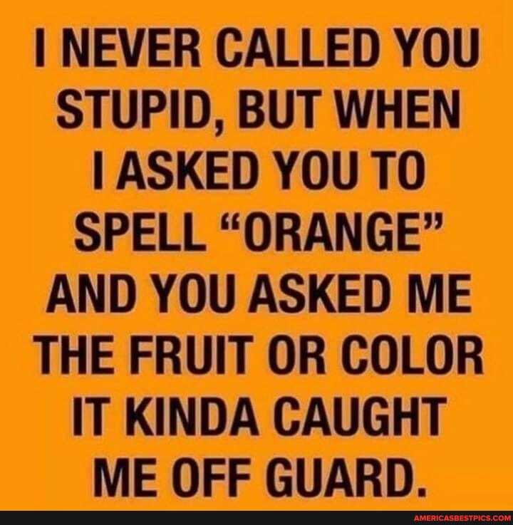 I NEVER CALLED YOU STUPID, BUT WHEN I ASKED YOU TO SPELL "ORANGE"
AND YOU ASKED ME THE FRUIT OR COLOR IT KINDA CAUGHT ME OFF GUARD.