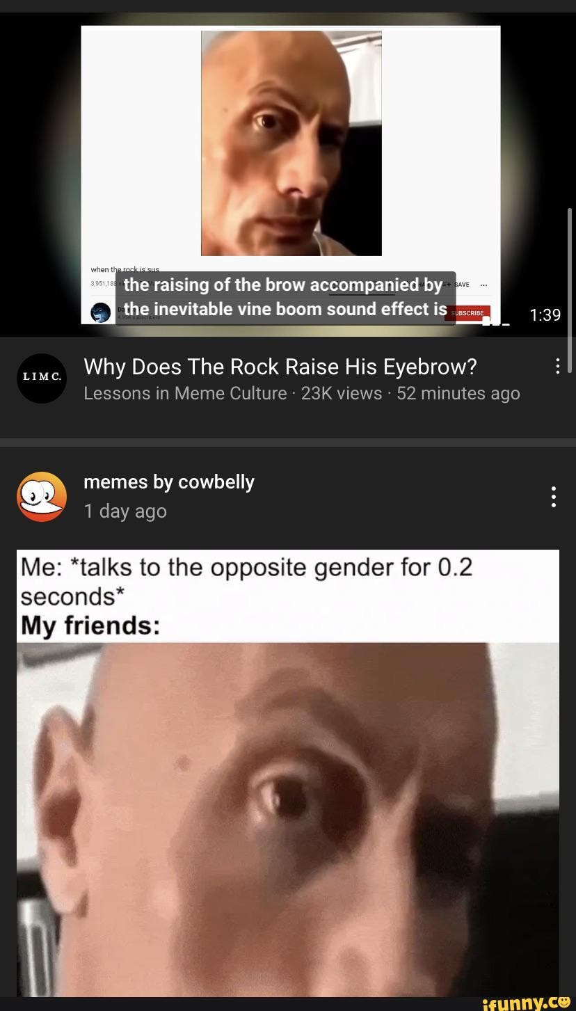 The Rock Raising Eyebrow Meme