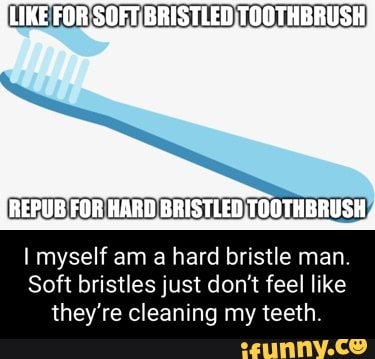 Bristle memes. Best Collection of funny Bristle pictures on iFunny