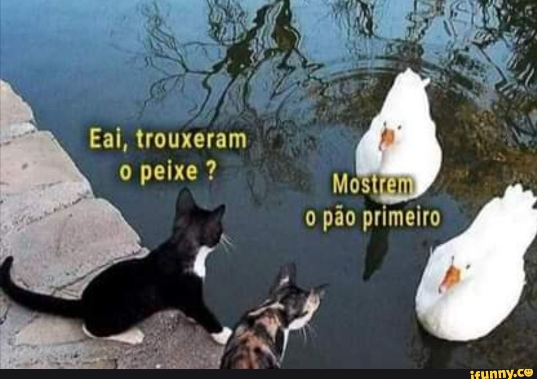 Eal, trouxeram o peixe ?
pão primeiro
AM