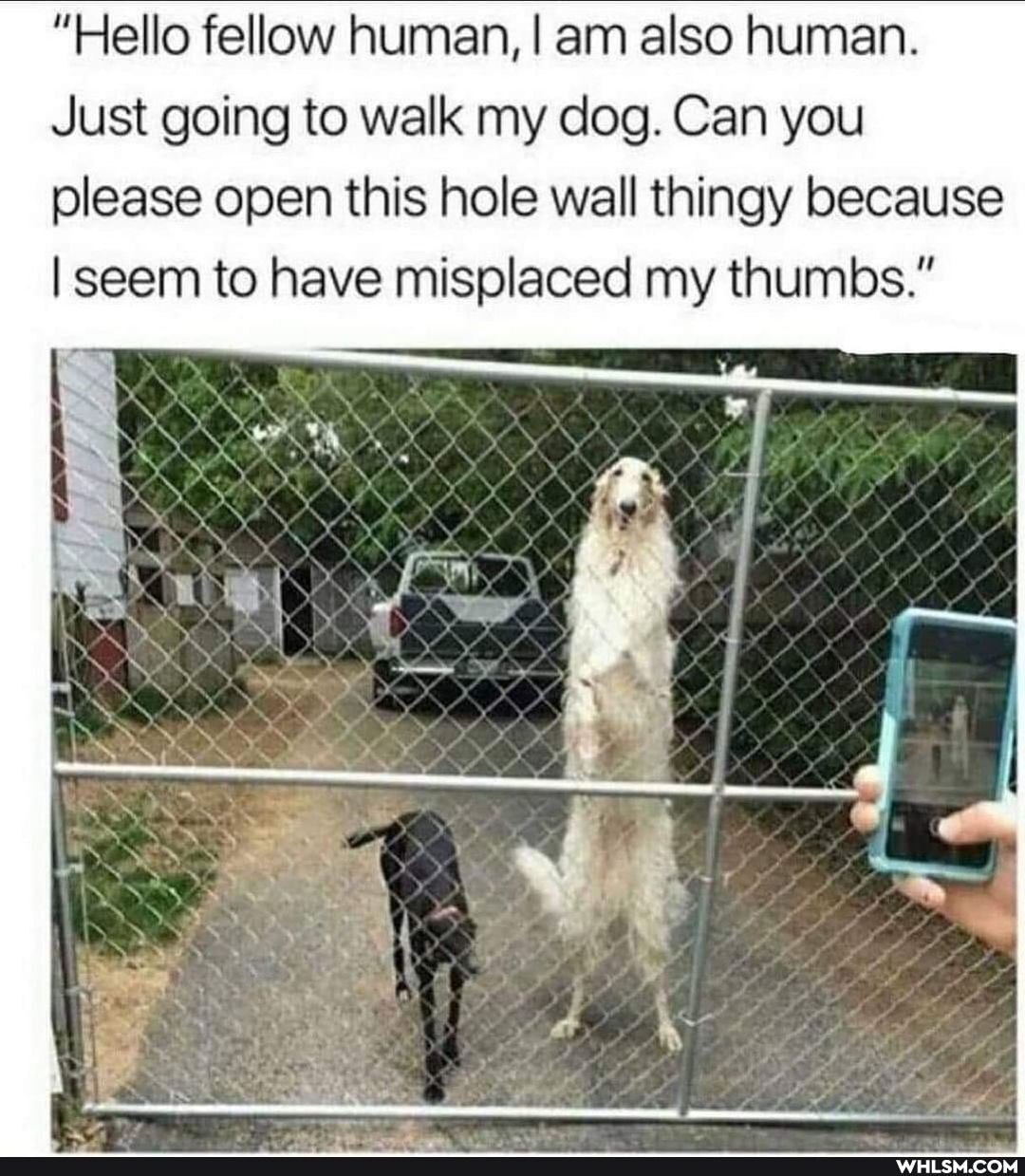 "Hello fellow human, I am also human.
Just going to walk my dog. Can you please open this hole wall thingy because seem to have misplaced my thumbs."
