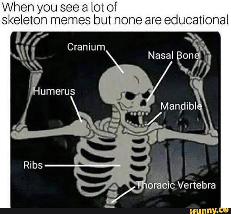 When you see a lot of skeleton memes but none are educational Cranium ...