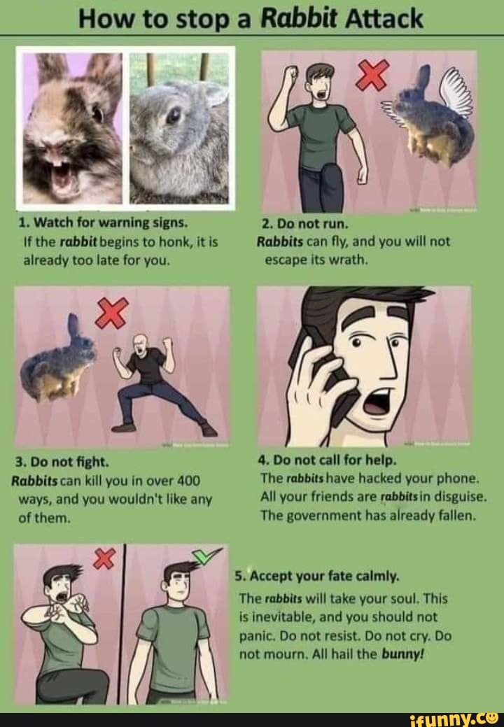 How to stop a Rabbit Attack 1. Watch for warning signs. 2. Do not run