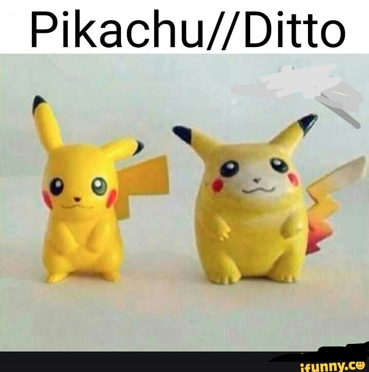 Pikachu//Ditto