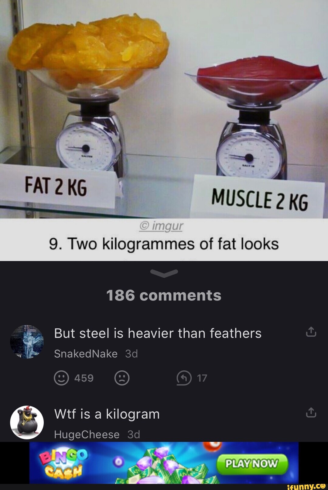 MUSCLE 2 KG 9. Two kilogrammes of fat looks 186 comments But steel is ...