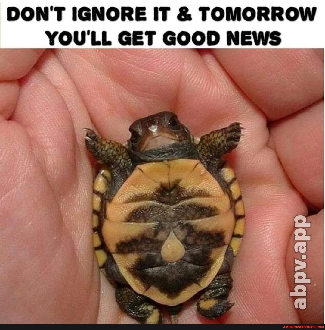DON'T IGNORE IT & TOMORROW YOU'LL GET GOOD NEWS