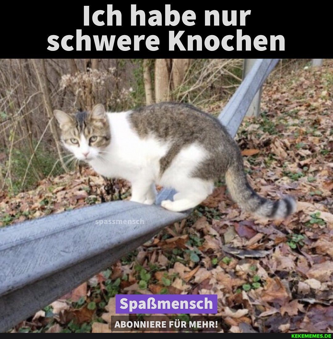 Ich habe nur were Knochen
ENSE