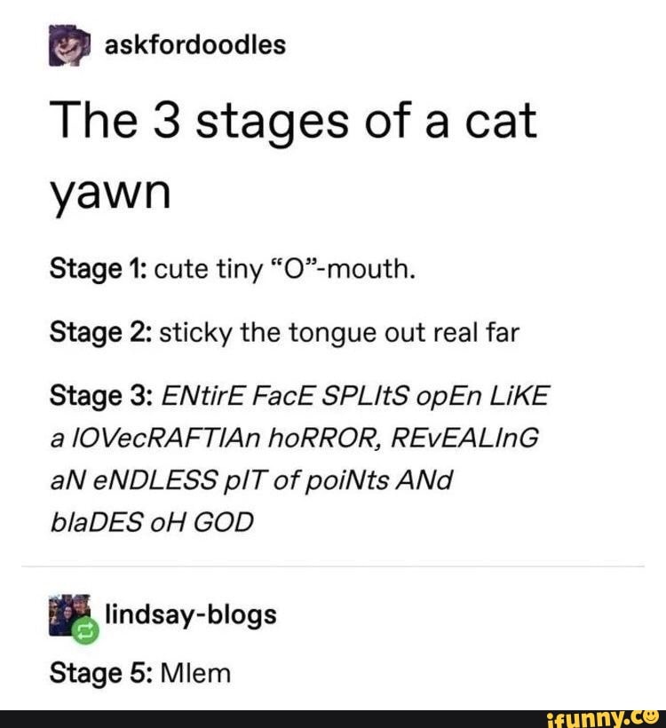 The 3 stages of a cat
yawn
Stage 1: cute tiny "O"-mouth.
Stage 2: sticky the tongue out real far
blaDES oH GOD
Ea lindsay-blogs
Stage 5: Miem