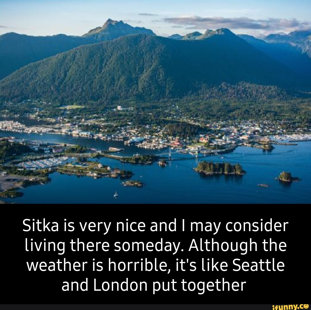 Sitka Memes Best Collection Of Funny Sitka Pictures On Ifunny