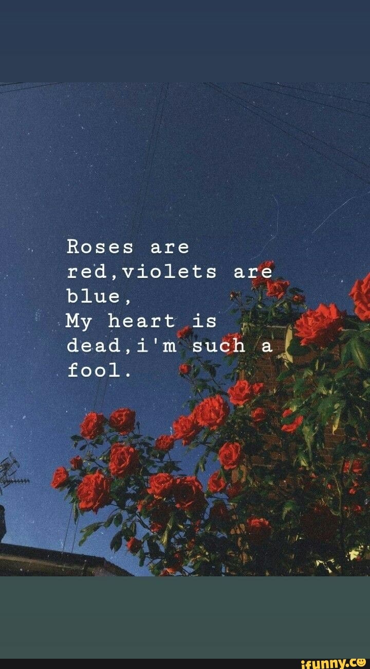 Roses are red,violets are blue, & My heart is , dead,i'm such ai fool ...