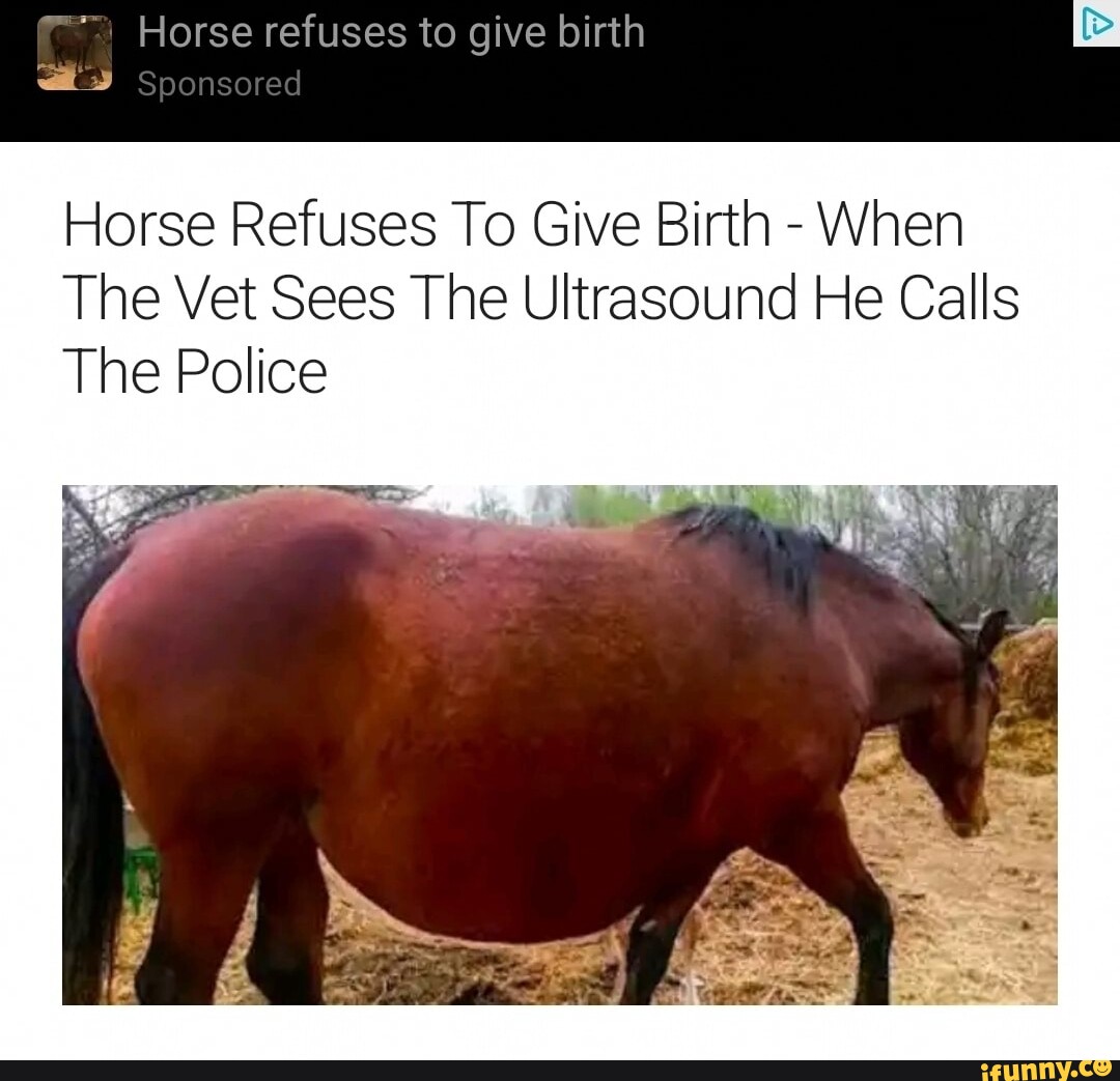 Horse refuses to give birth at's) Sponsored Horse Refuses To Give Birth
