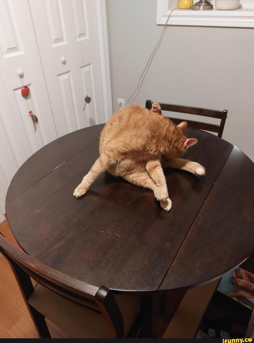 Home_decor memes. Best Collection of funny Home_decor pictures on iFunny